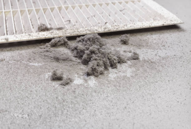 Best Professional Duct Cleaning Services  in Rock Springs, WY